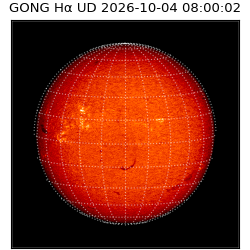 gong - 2026-10-04T08:00:02