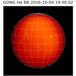 gong - 2026-10-04T19:00:02