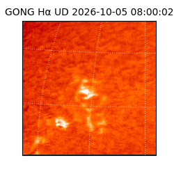 gong - 2026-10-05T08:00:02