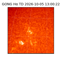 gong - 2026-10-05T13:00:22
