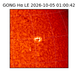 gong - 2026-10-05T01:00:42