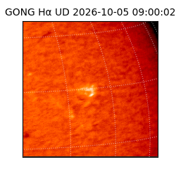 gong - 2026-10-05T09:00:02