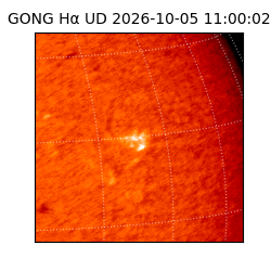gong - 2026-10-05T11:00:02