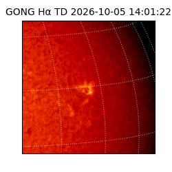 gong - 2026-10-05T14:01:22