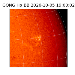 gong - 2026-10-05T19:00:02