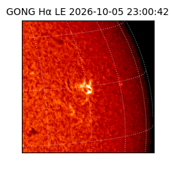 gong - 2026-10-05T23:00:42