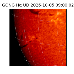 gong - 2026-10-05T09:00:02