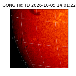 gong - 2026-10-05T14:01:22