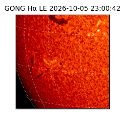 gong - 2026-10-05T23:00:42