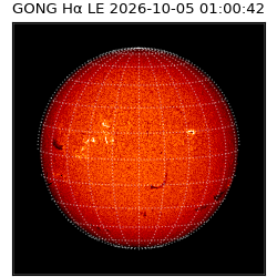 gong - 2026-10-05T01:00:42