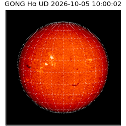 gong - 2026-10-05T10:00:02