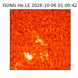 gong - 2026-10-06T01:00:42