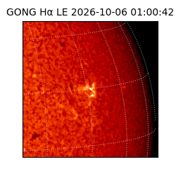 gong - 2026-10-06T01:00:42