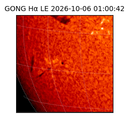 gong - 2026-10-06T01:00:42