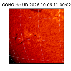 gong - 2026-10-06T11:00:02