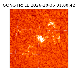 gong - 2026-10-06T01:00:42