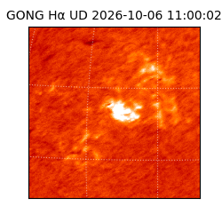 gong - 2026-10-06T11:00:02
