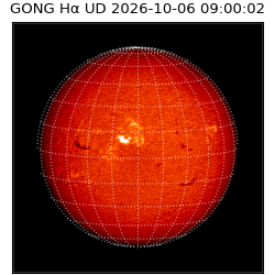 gong - 2026-10-06T09:00:02