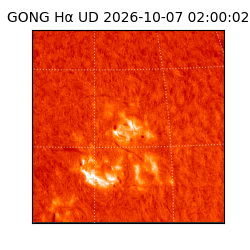 gong - 2026-10-07T02:00:02