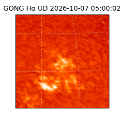 gong - 2026-10-07T05:00:02