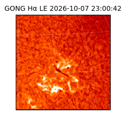 gong - 2026-10-07T23:00:42