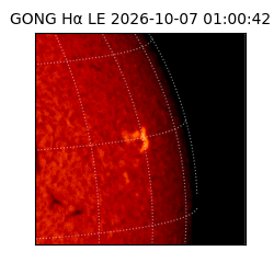 gong - 2026-10-07T01:00:42