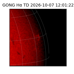 gong - 2026-10-07T12:01:22