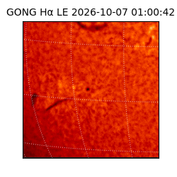 gong - 2026-10-07T01:00:42