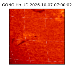 gong - 2026-10-07T07:00:02