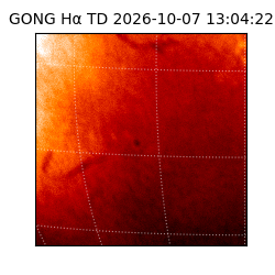 gong - 2026-10-07T13:04:22