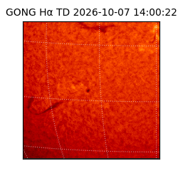 gong - 2026-10-07T14:00:22