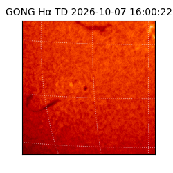 gong - 2026-10-07T16:00:22