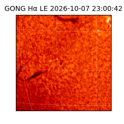 gong - 2026-10-07T23:00:42