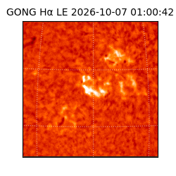 gong - 2026-10-07T01:00:42