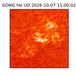 gong - 2026-10-07T11:00:02
