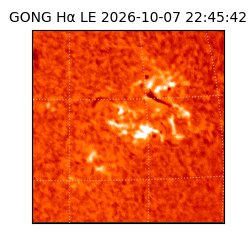gong - 2026-10-07T22:45:42