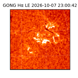 gong - 2026-10-07T23:00:42