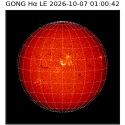 gong - 2026-10-07T01:00:42