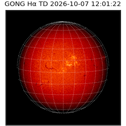 gong - 2026-10-07T12:01:22