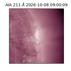 saia - 2026-10-08T09:00:09.623000