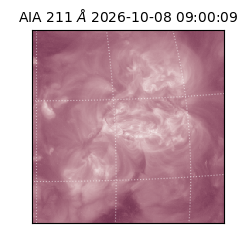 saia - 2026-10-08T09:00:09.623000