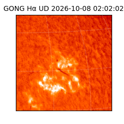 gong - 2026-10-08T02:02:02