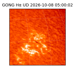 gong - 2026-10-08T05:00:02