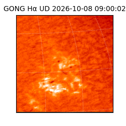 gong - 2026-10-08T09:00:02