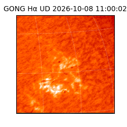 gong - 2026-10-08T11:00:02
