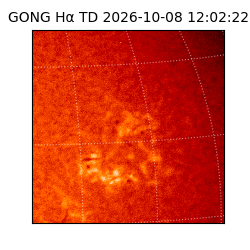 gong - 2026-10-08T12:02:22