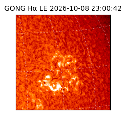gong - 2026-10-08T23:00:42