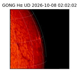 gong - 2026-10-08T02:02:02