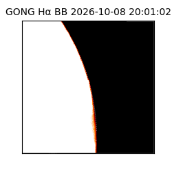 gong - 2026-10-08T20:01:02