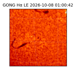 gong - 2026-10-08T01:00:42